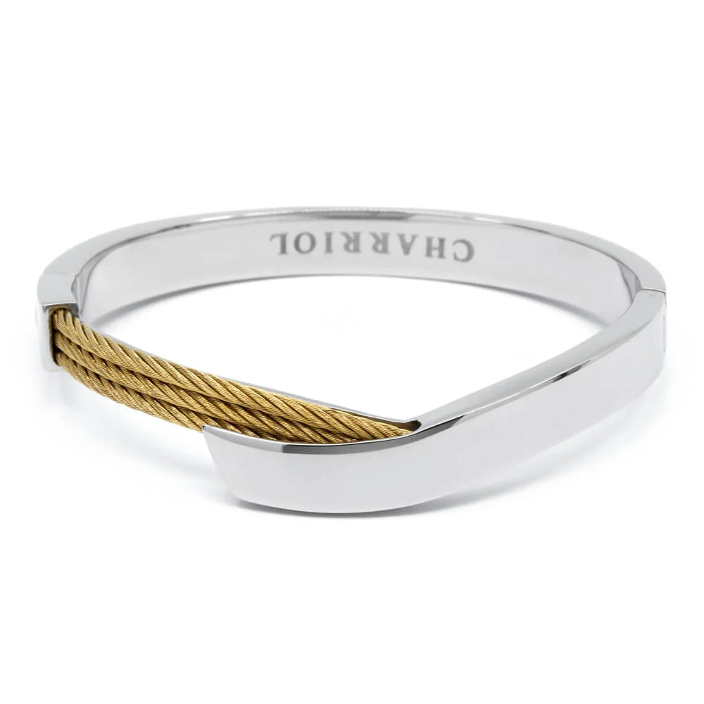 Steel_Yellow Oro