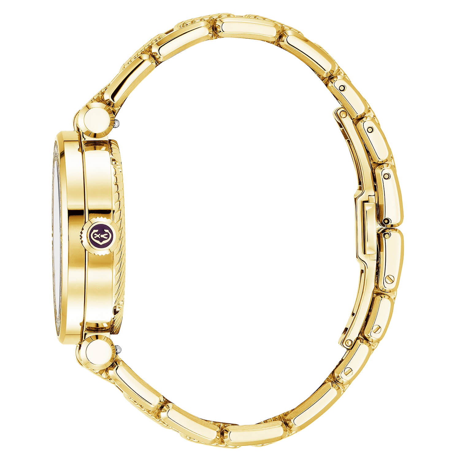 NAVIGATOR CRUISE, 36MM, CALIBRE CUARZO, DIAL DE PERLA MADRE, 30 DIAMANTES BEZEL, PVD ORO ACERO AMARILLO PULSERA INTERCAMBIABLE - Charriol Geneve - Watch