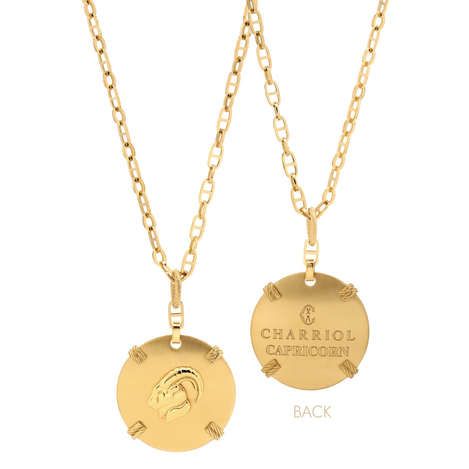 Oro amarillo_Oro Capricornio_60cm a 70cm