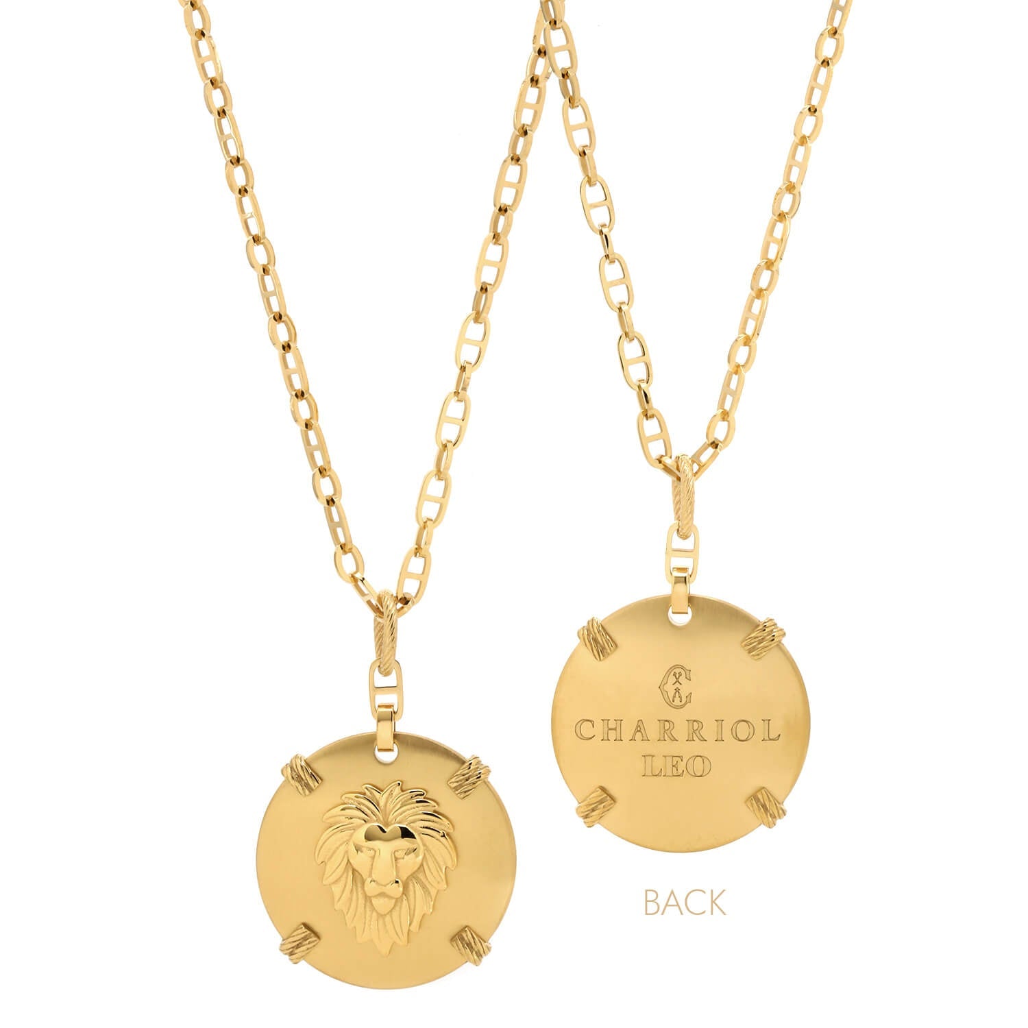 Oro amarillo_Oro Leo_60cm a 70cm