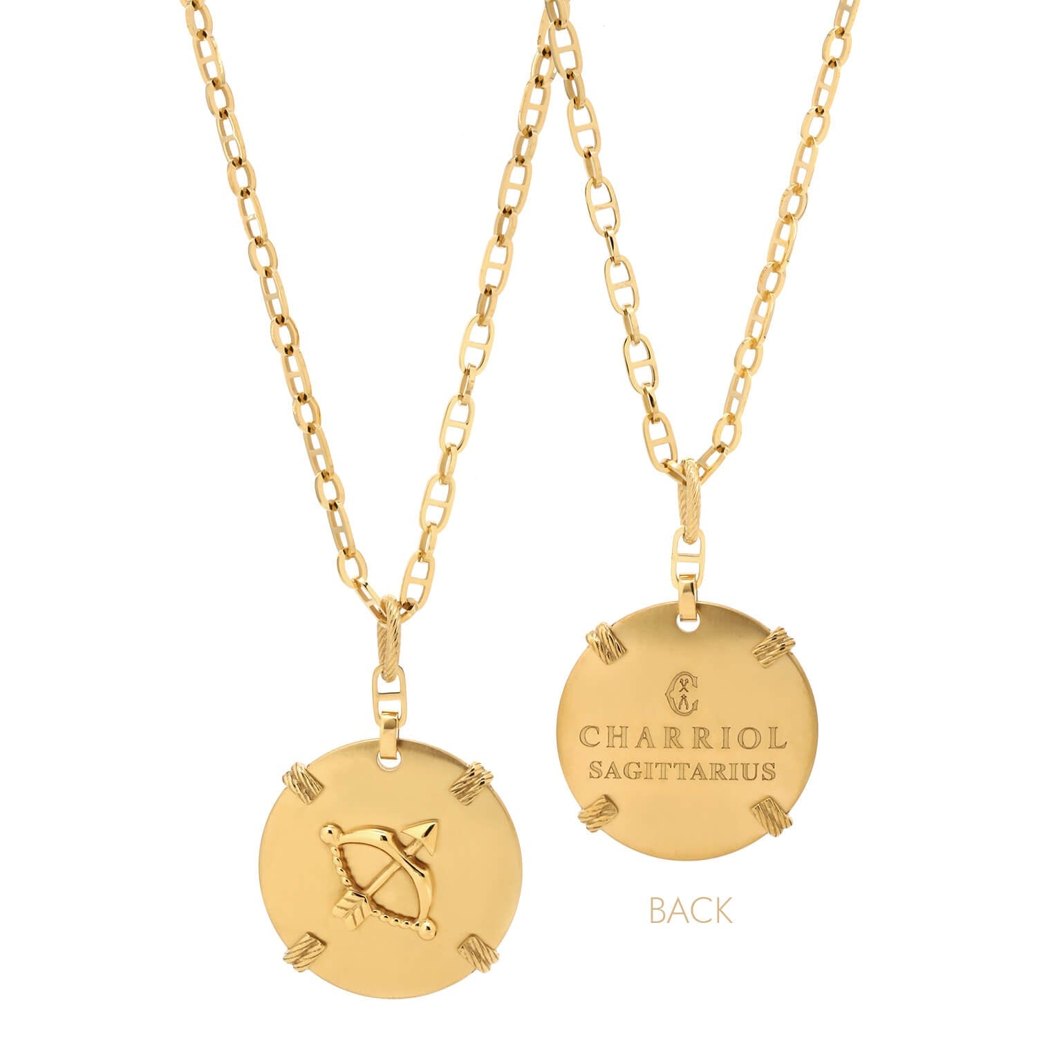 Oro Amarillo_Oro Sagitario_60cm a 70cm