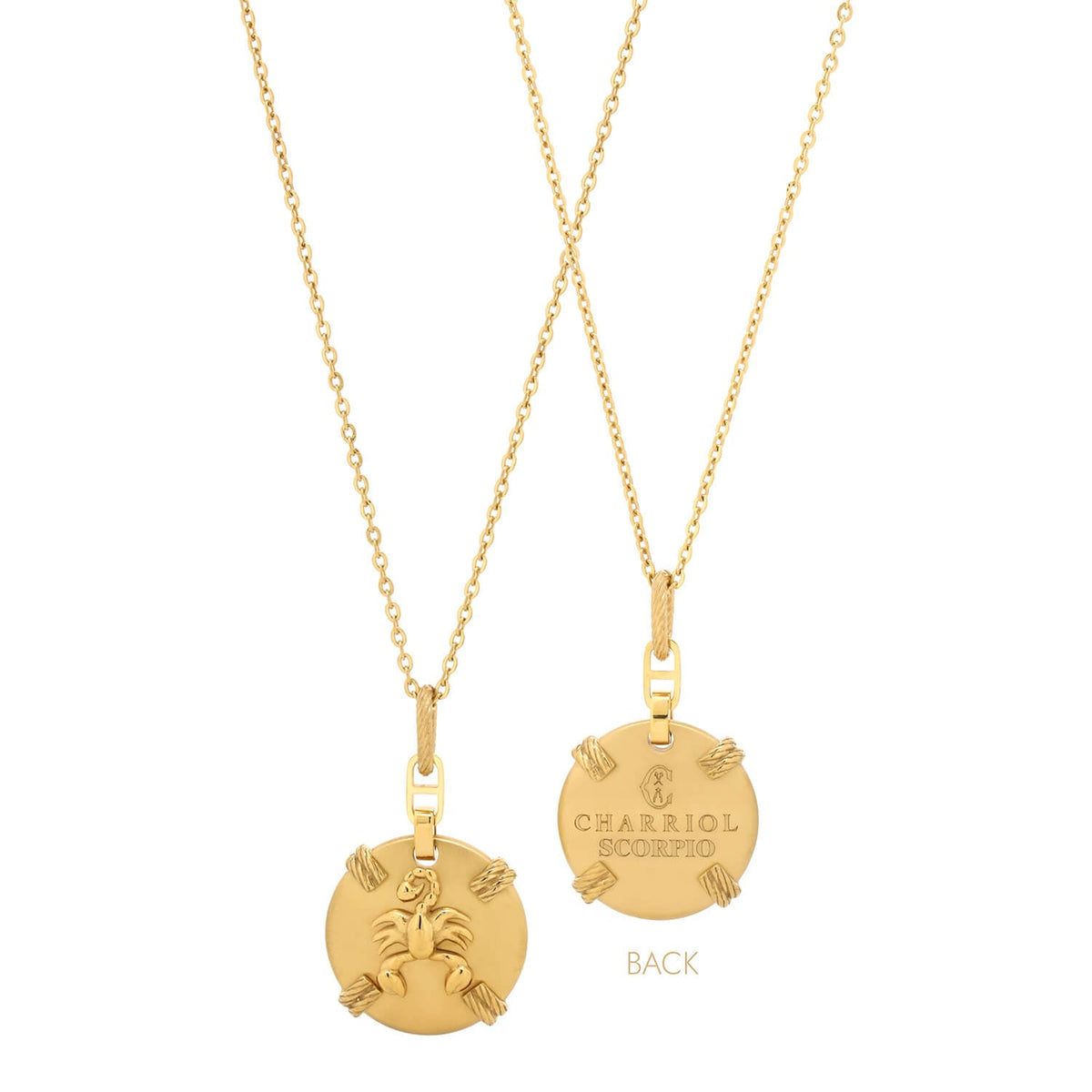 Oro amarillo_Oro Scorpio_45cm a 55cm