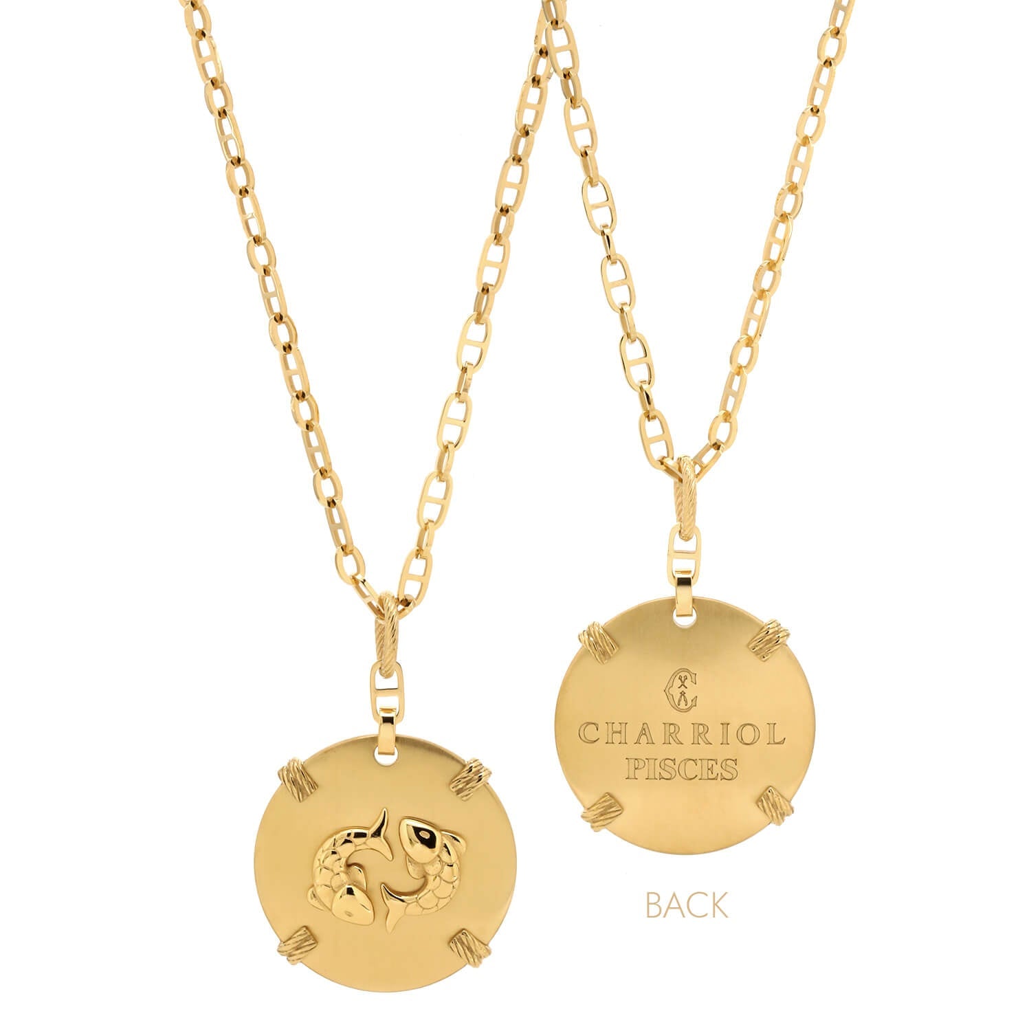 Oro amarillo_Oro Piscis_60cm a 70cm