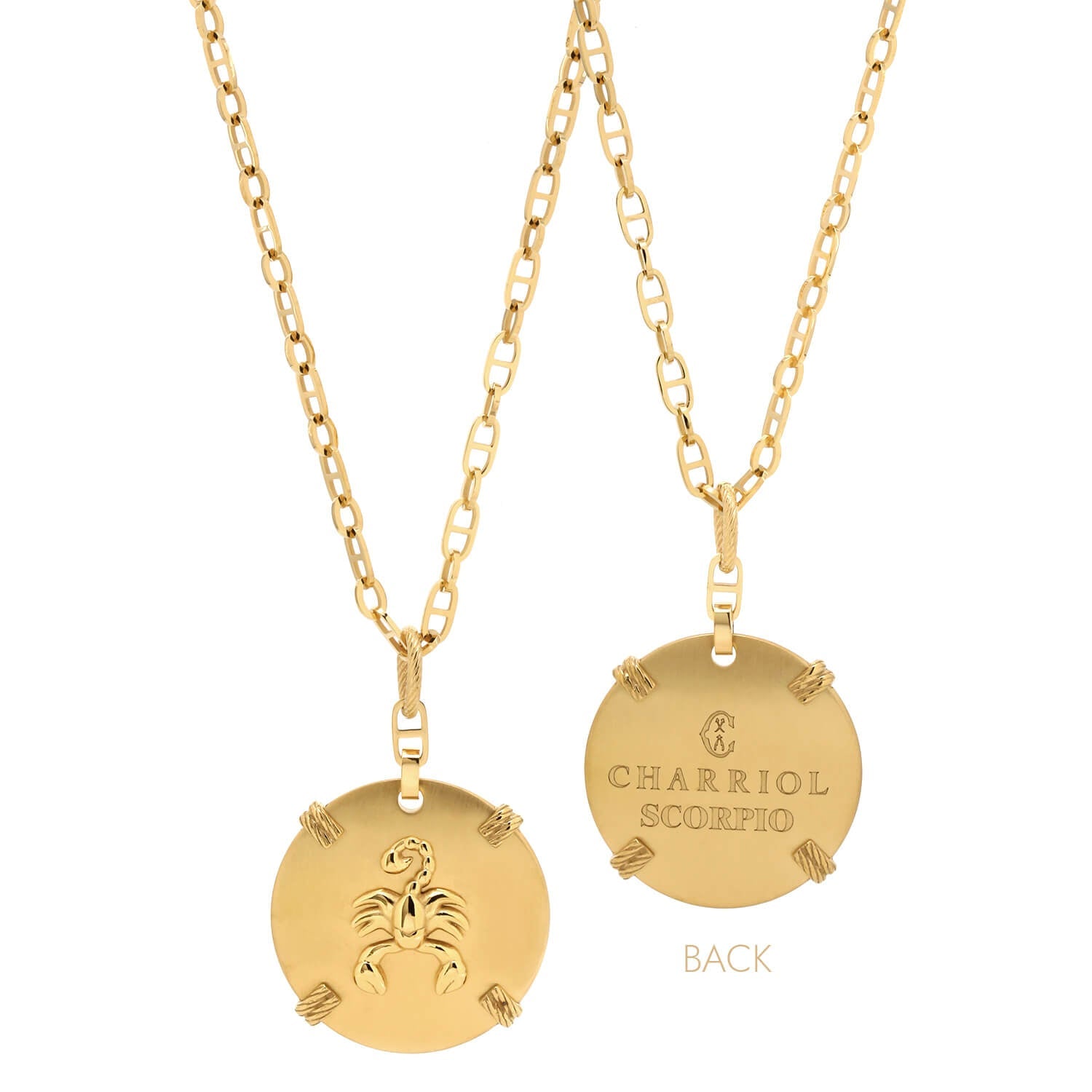 Oro amarillo_Gold Scorpio_60cm a 70cm 