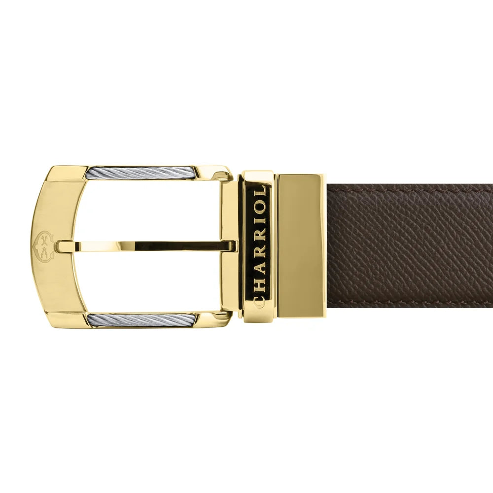 Steel_Yellow Oro